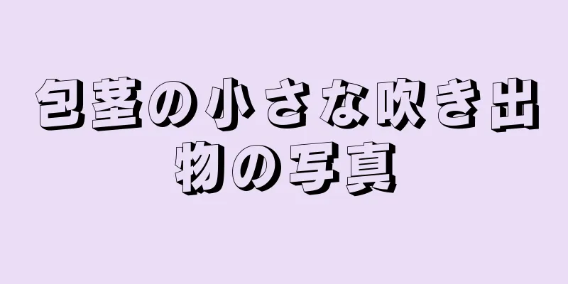 包茎の小さな吹き出物の写真