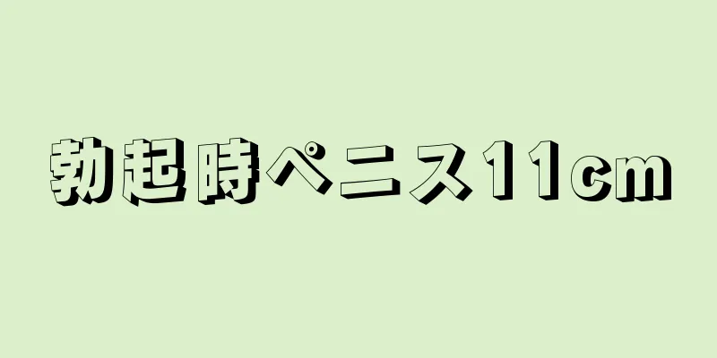 勃起時ペニス11cm