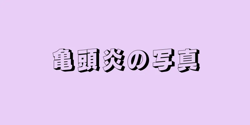 亀頭炎の写真