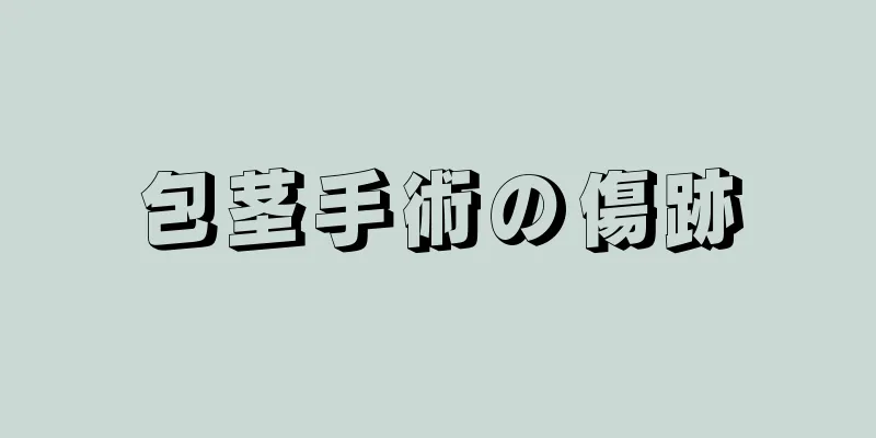 包茎手術の傷跡