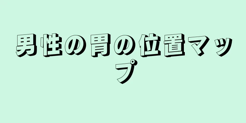 男性の胃の位置マップ