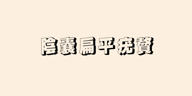 陰嚢扁平疣贅