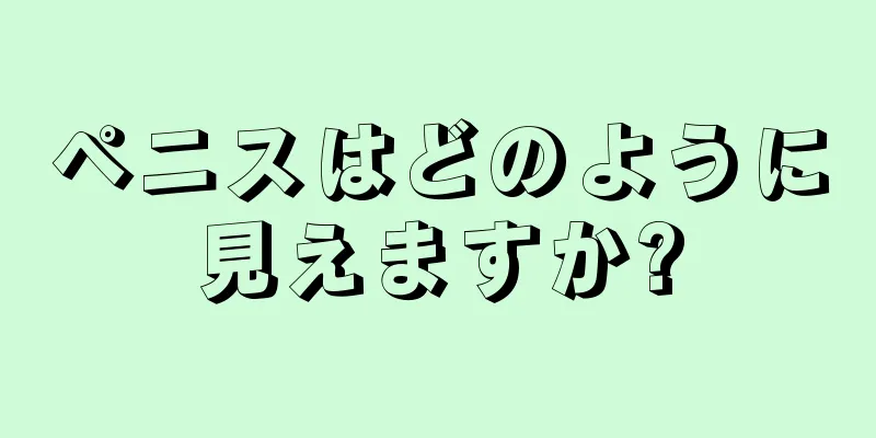 ペニスはどのように見えますか?