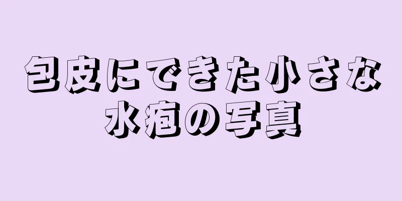包皮にできた小さな水疱の写真