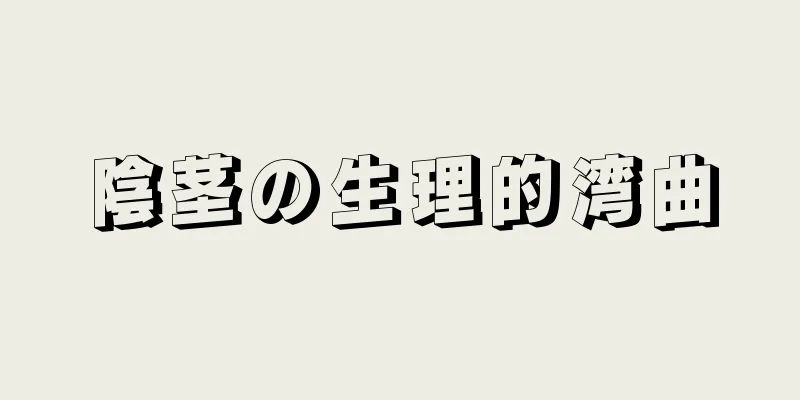 陰茎の生理的湾曲