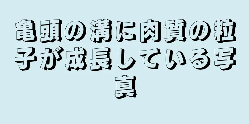 亀頭の溝に肉質の粒子が成長している写真