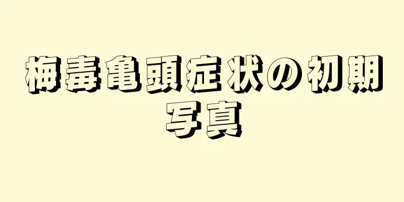 梅毒亀頭症状の初期写真