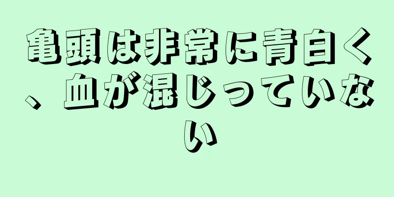 亀頭は非常に青白く、血が混じっていない