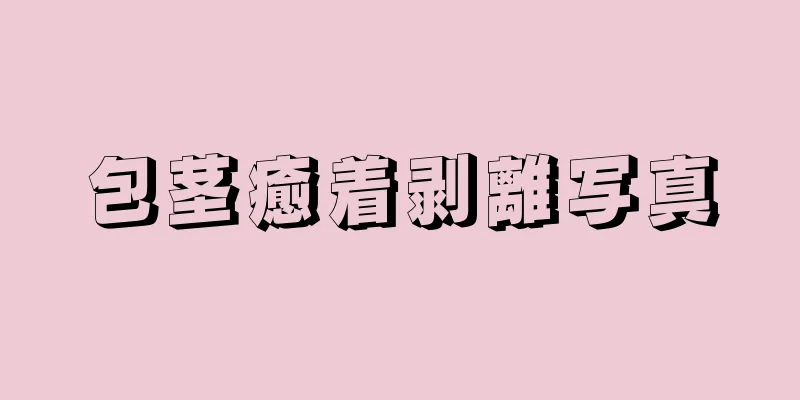 包茎癒着剥離写真