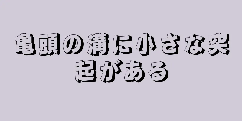 亀頭の溝に小さな突起がある