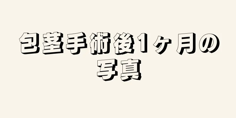 包茎手術後1ヶ月の写真