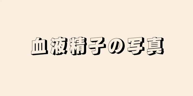 血液精子の写真