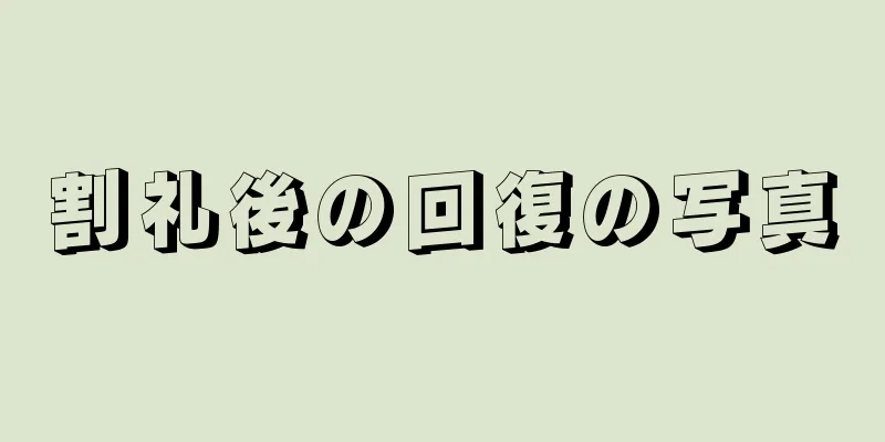 割礼後の回復の写真