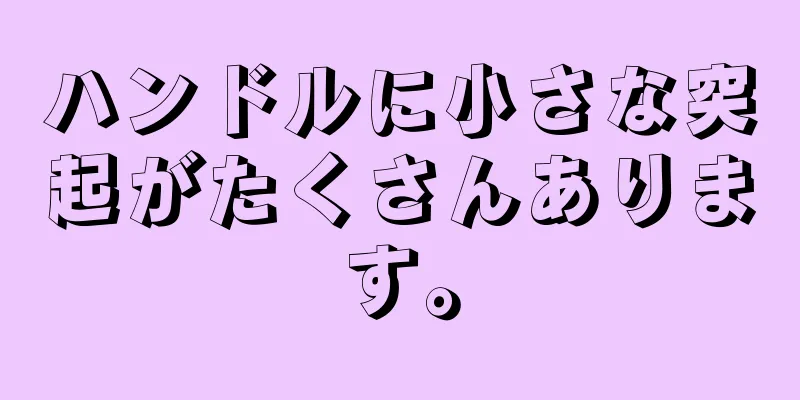 ハンドルに小さな突起がたくさんあります。