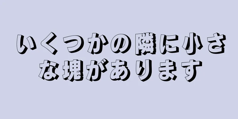 いくつかの隣に小さな塊があります