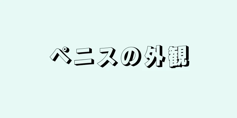 ペニスの外観