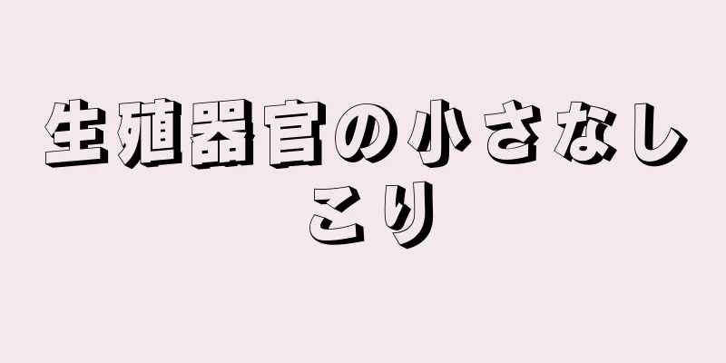 生殖器官の小さなしこり