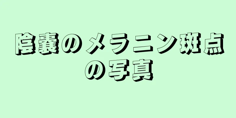 陰嚢のメラニン斑点の写真