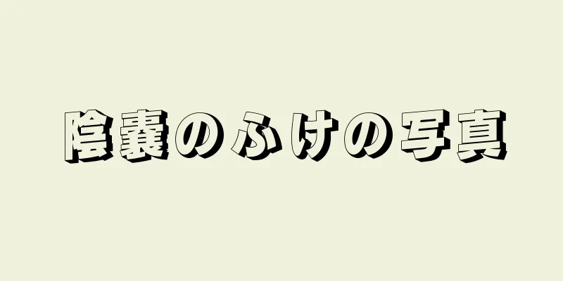 陰嚢のふけの写真