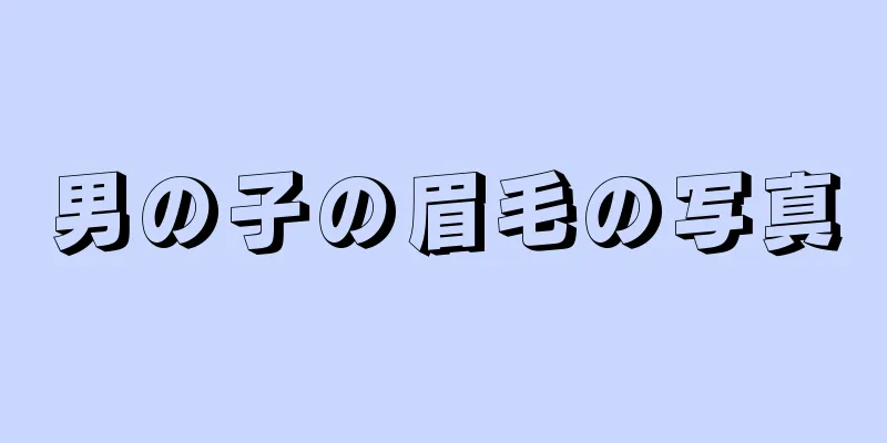 男の子の眉毛の写真