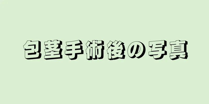 包茎手術後の写真