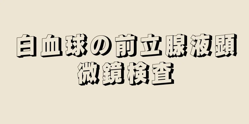 白血球の前立腺液顕微鏡検査