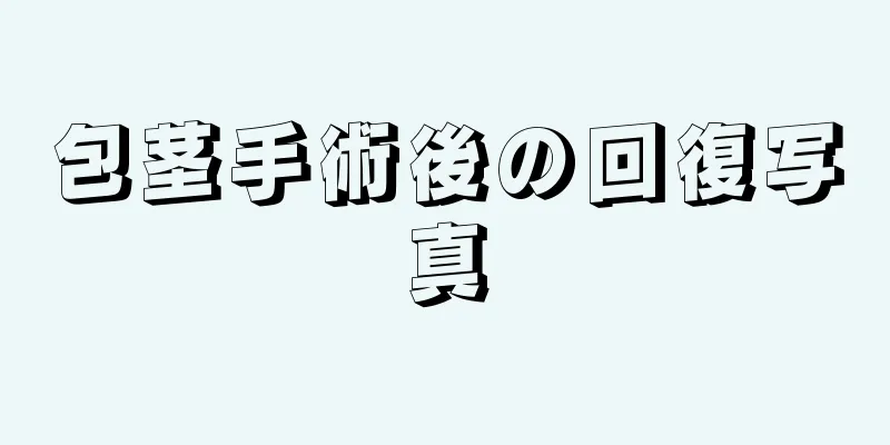 包茎手術後の回復写真