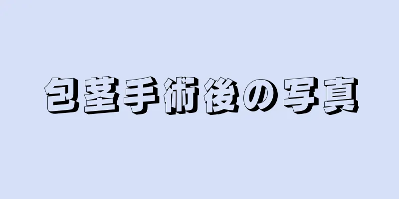 包茎手術後の写真