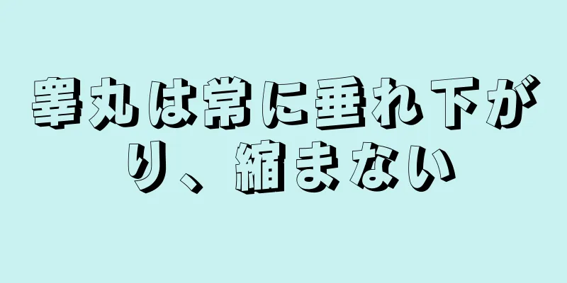 睾丸は常に垂れ下がり、縮まない