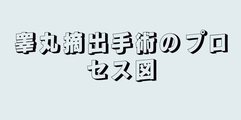 睾丸摘出手術のプロセス図