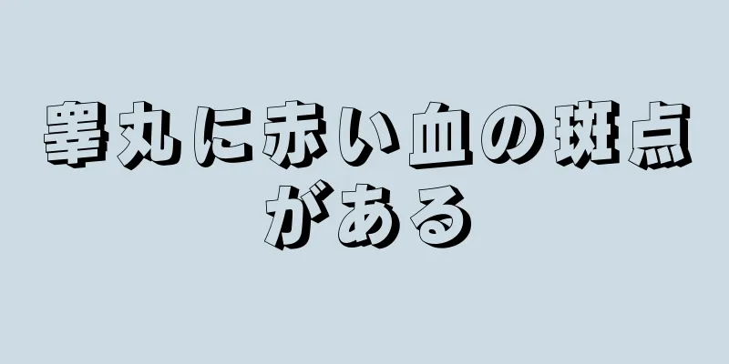 睾丸に赤い血の斑点がある