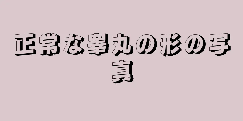 正常な睾丸の形の写真