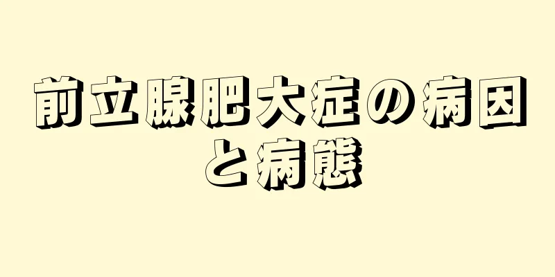 前立腺肥大症の病因と病態