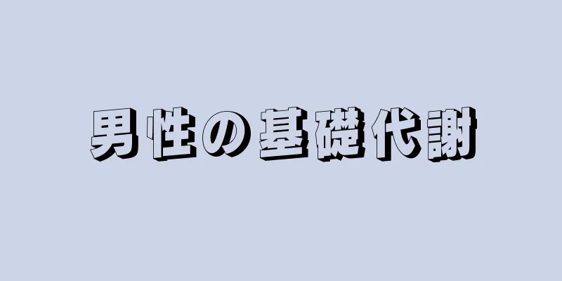 男性の基礎代謝