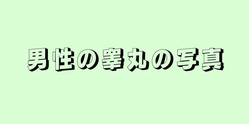 男性の睾丸の写真