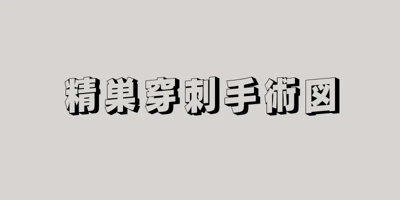 精巣穿刺手術図
