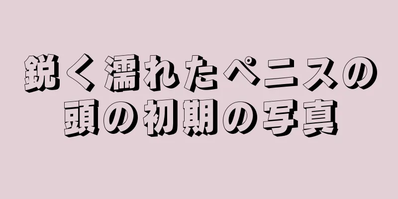 鋭く濡れたペニスの頭の初期の写真