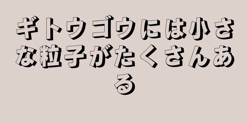 ギトウゴウには小さな粒子がたくさんある