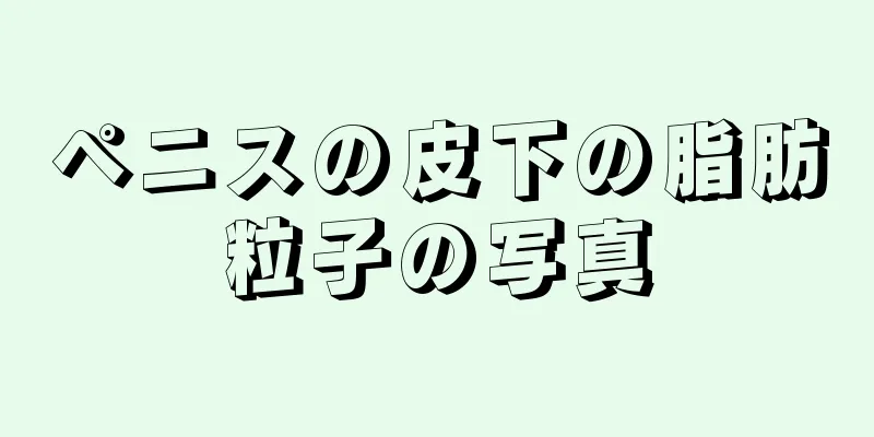 ペニスの皮下の脂肪粒子の写真