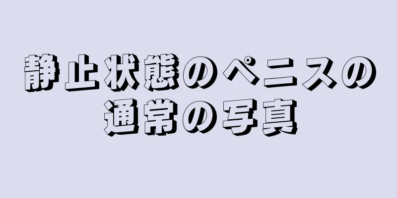 静止状態のペニスの通常の写真
