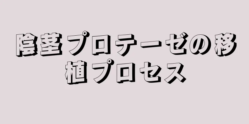 陰茎プロテーゼの移植プロセス