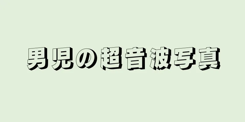 男児の超音波写真