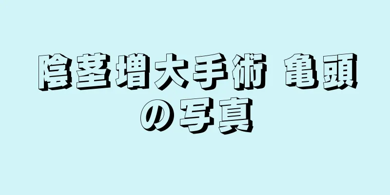 陰茎増大手術 亀頭の写真