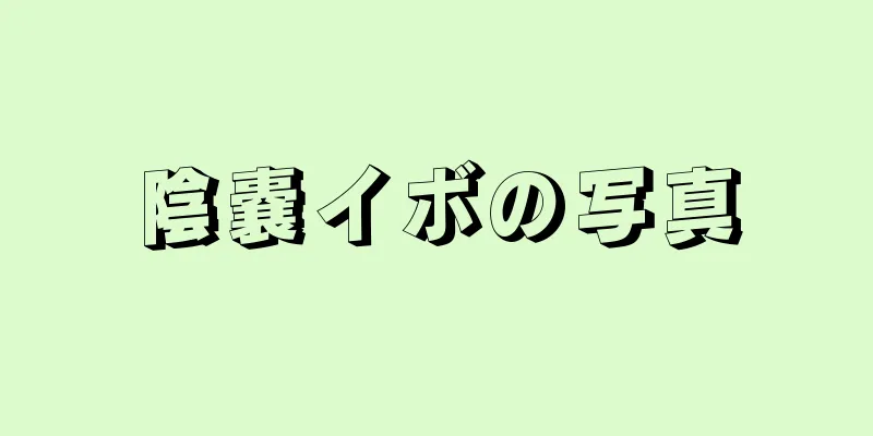陰嚢イボの写真