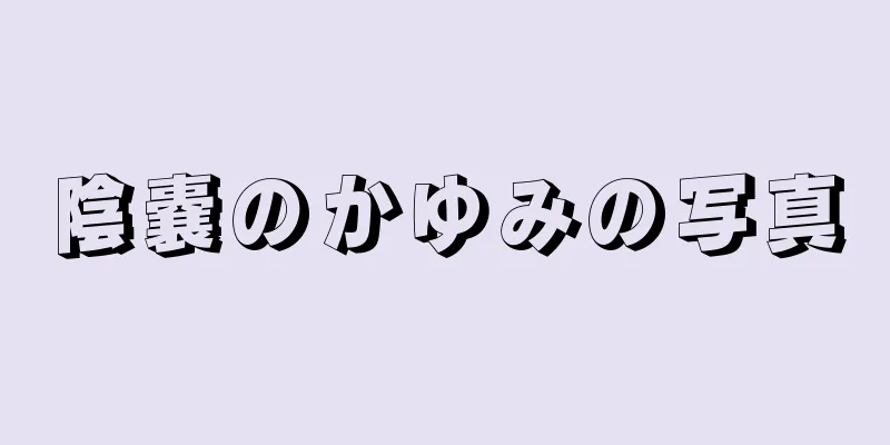 陰嚢のかゆみの写真