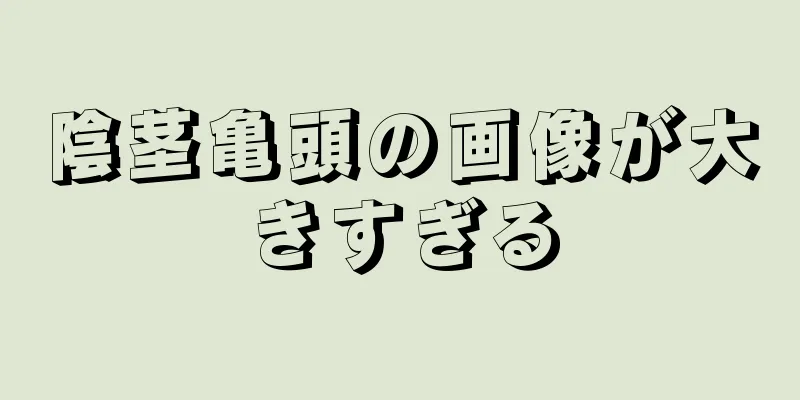 陰茎亀頭の画像が大きすぎる