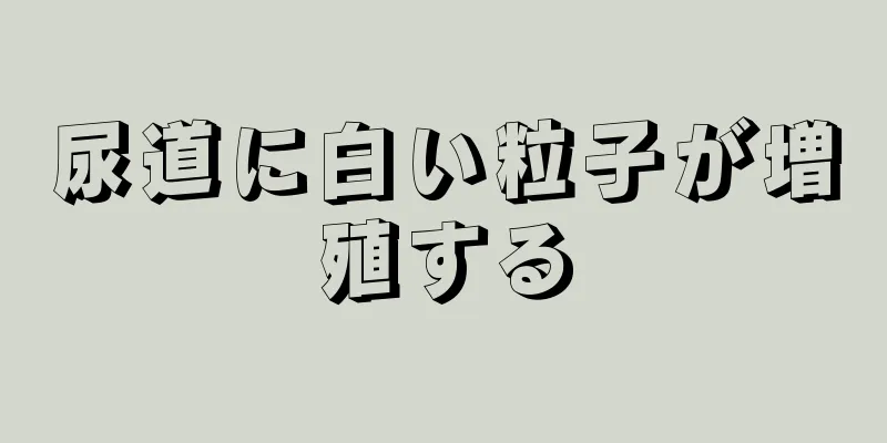尿道に白い粒子が増殖する