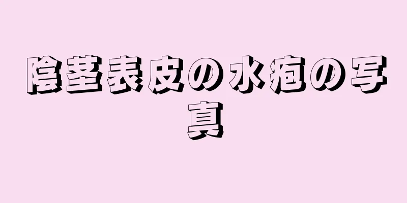 陰茎表皮の水疱の写真