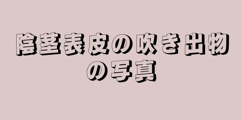 陰茎表皮の吹き出物の写真