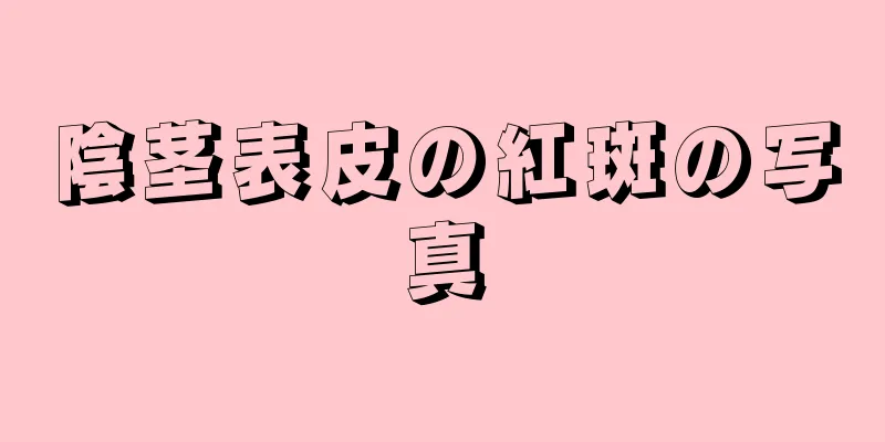 陰茎表皮の紅斑の写真